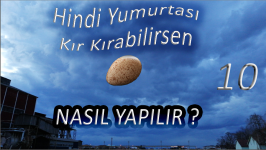 resim_2021-05-14_231231.png