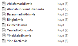resim_2021-05-15_125000.png